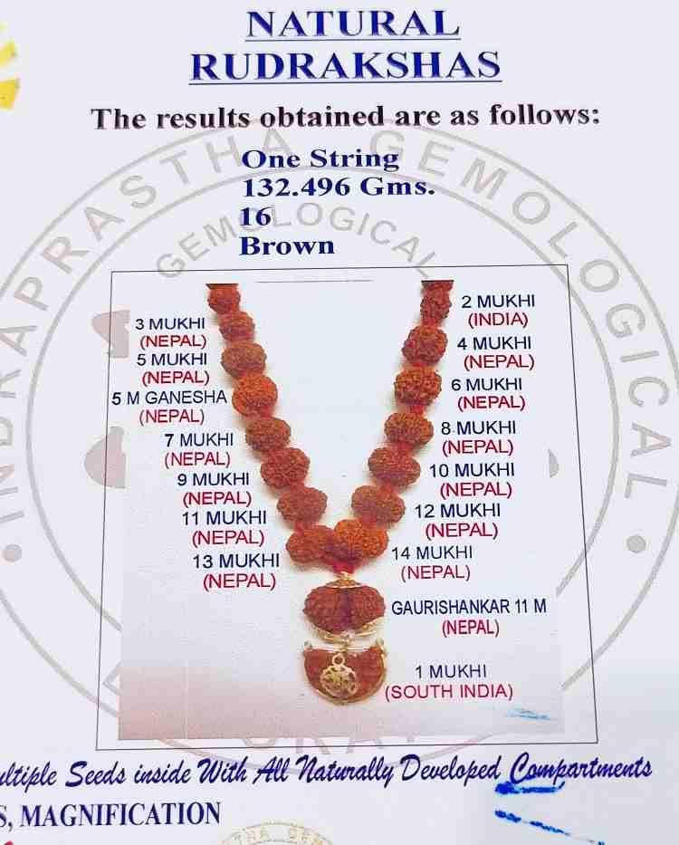 Rudraksha Siddha Mala Natural Authentic Certified Omjaa